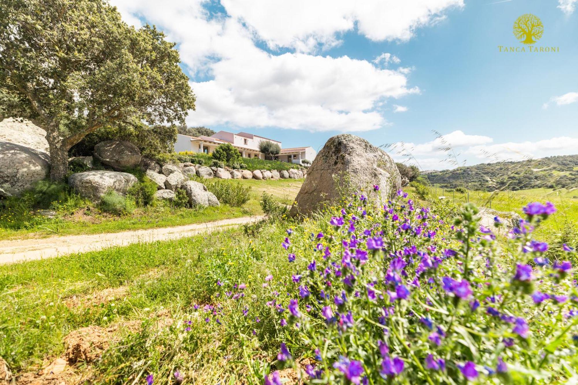 Agriturismo Bed And Breakfast Tanca Taroni Telti Bagian luar foto